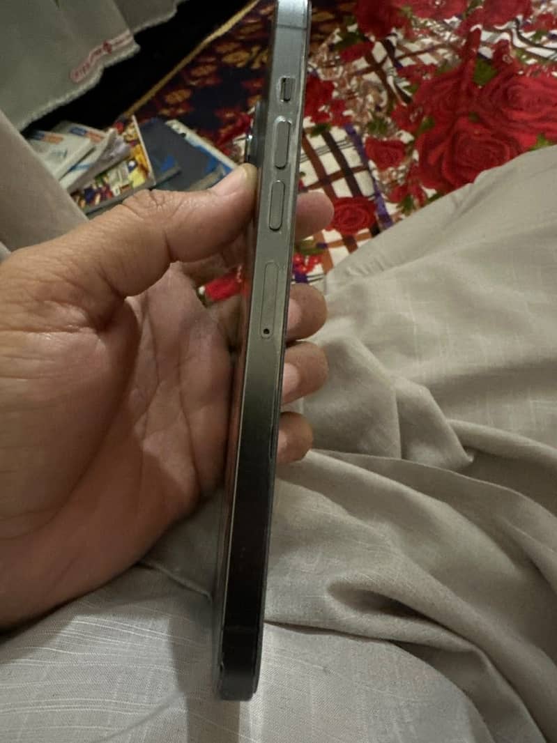 Apple iPhone 13 Pro Max 1