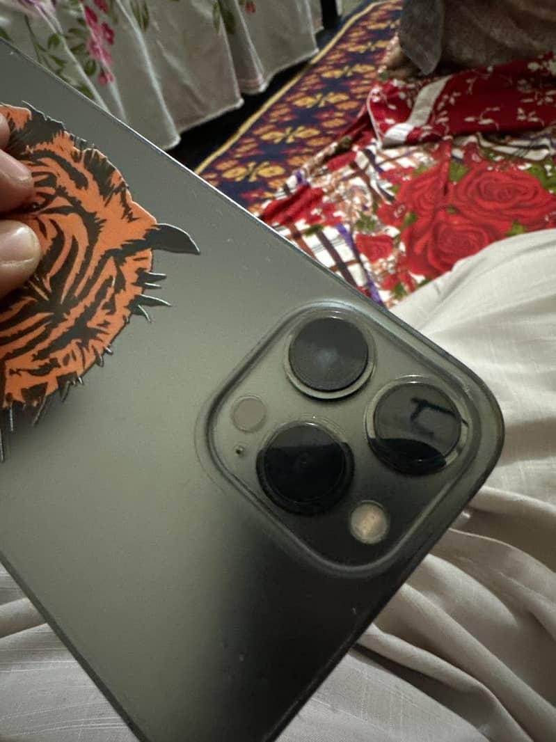 Apple iPhone 13 Pro Max 2