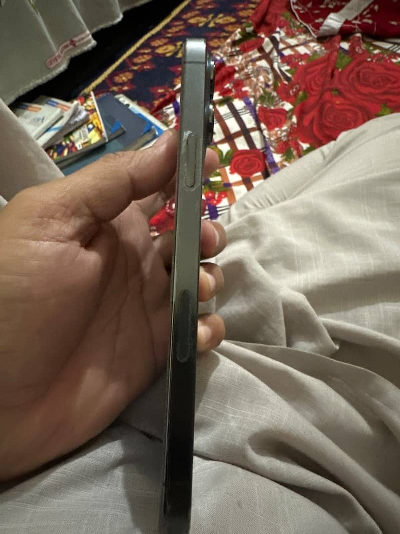 Apple iPhone 13 Pro Max 3