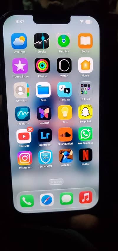 Apple iPhone 13 Pro Max