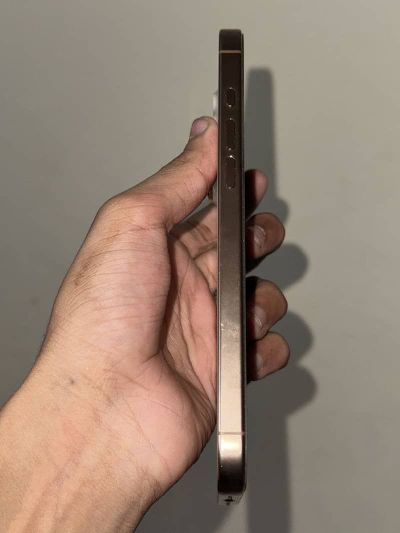 Apple iPhone 16 Pro Max 6