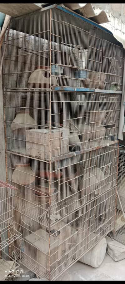cages for sell 8 pcs cage he 1.5 by 1.5 Rs 12000/=