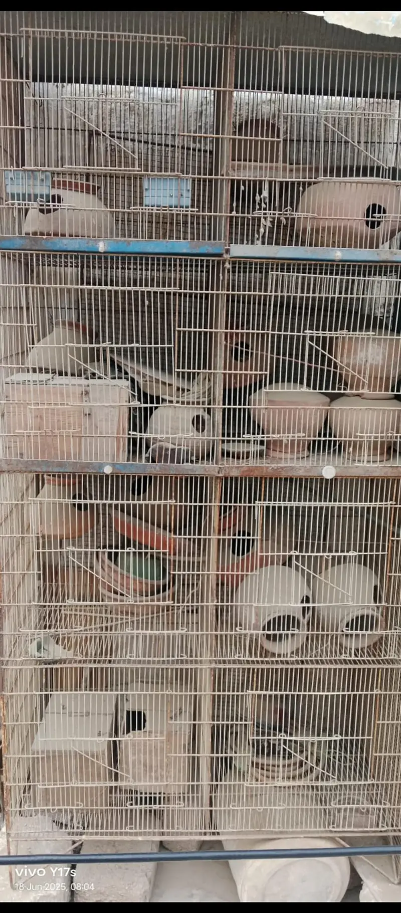 cages for sell 8 pcs cage he 1.5 by 1.5 Rs 12000/= — photo 2