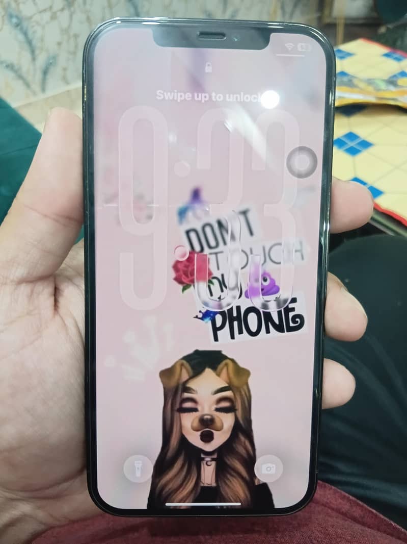 Apple iPhone 12 Pro Max 2