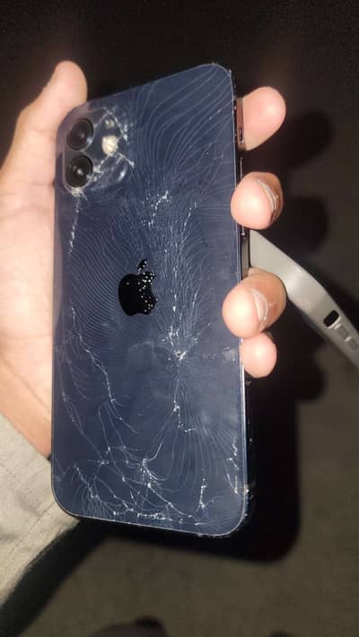 Apple iPhone 12