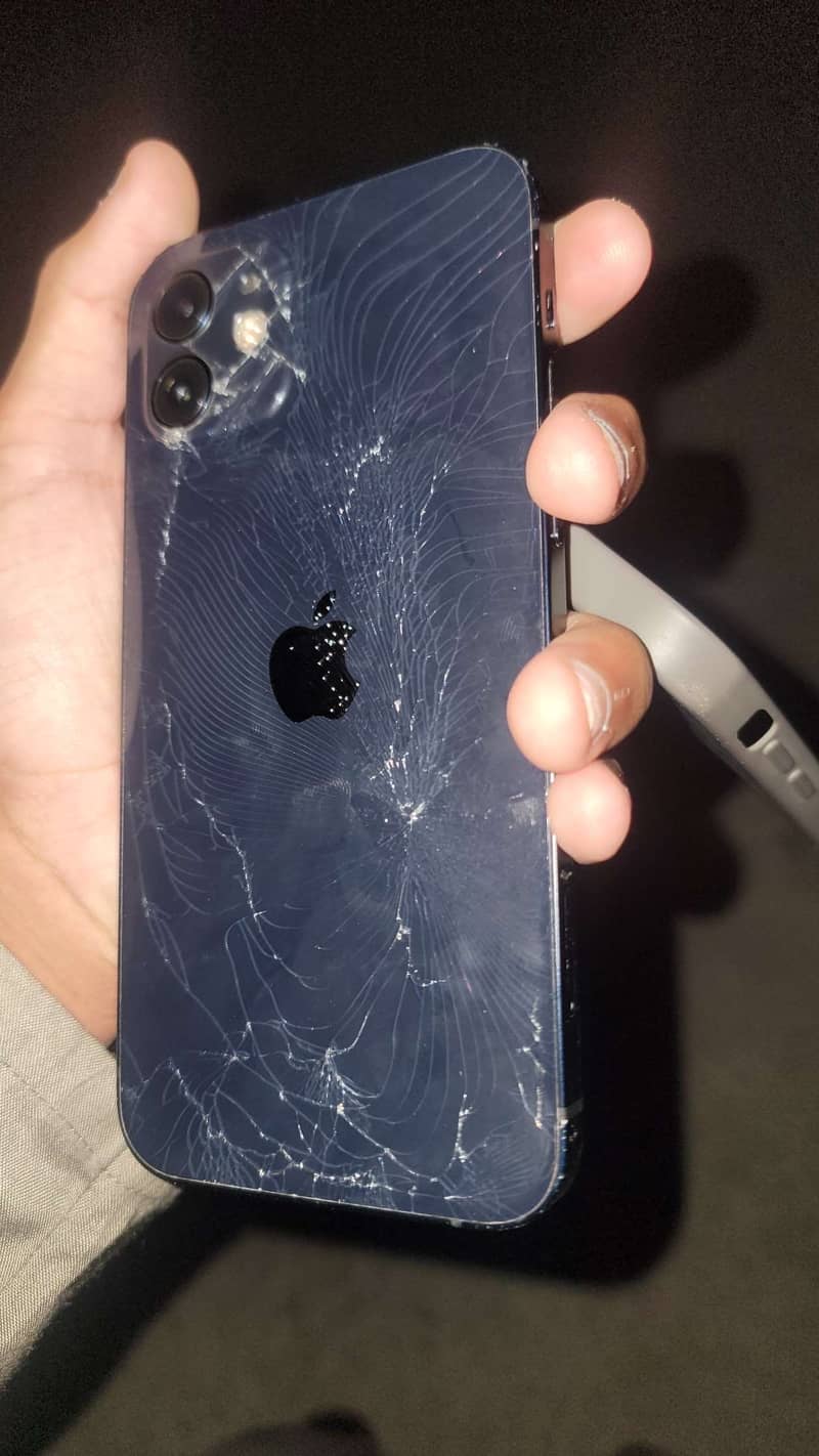 Apple iPhone 12 0