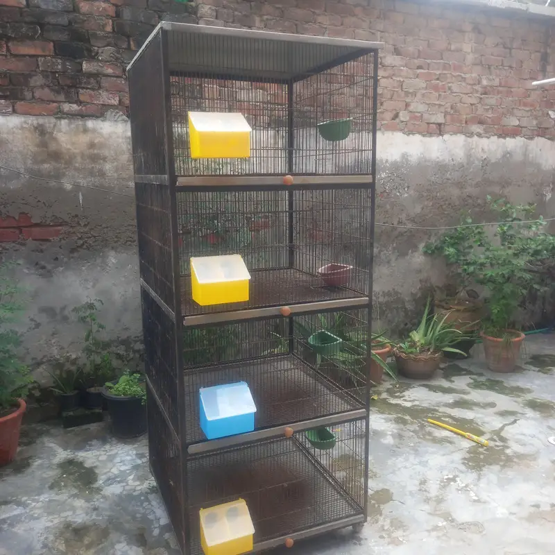 cages — photo 2