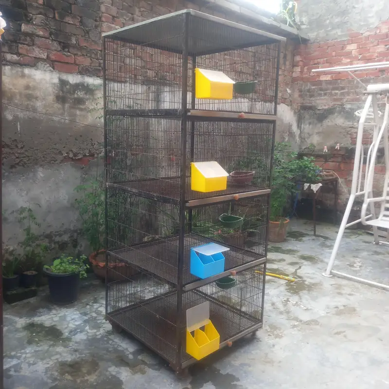 cages — photo 3