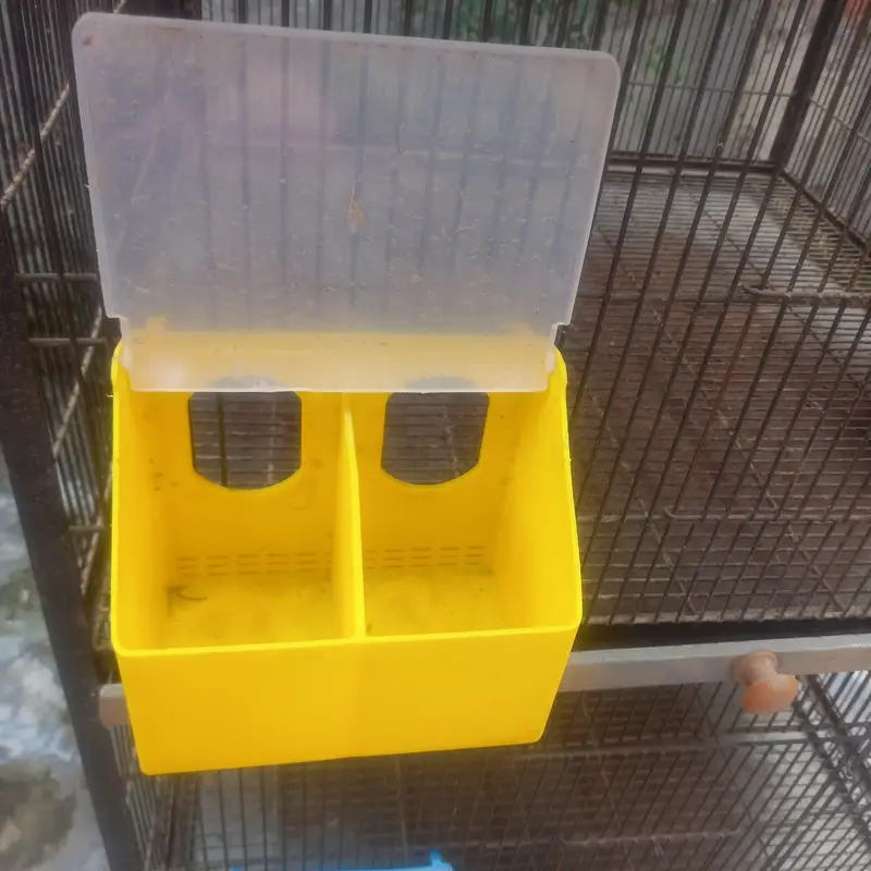 cages — photo 4