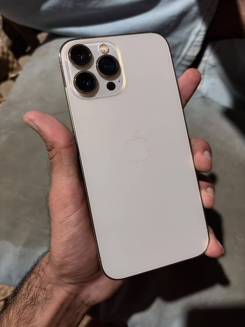 Apple iPhone 13 Pro Max 0