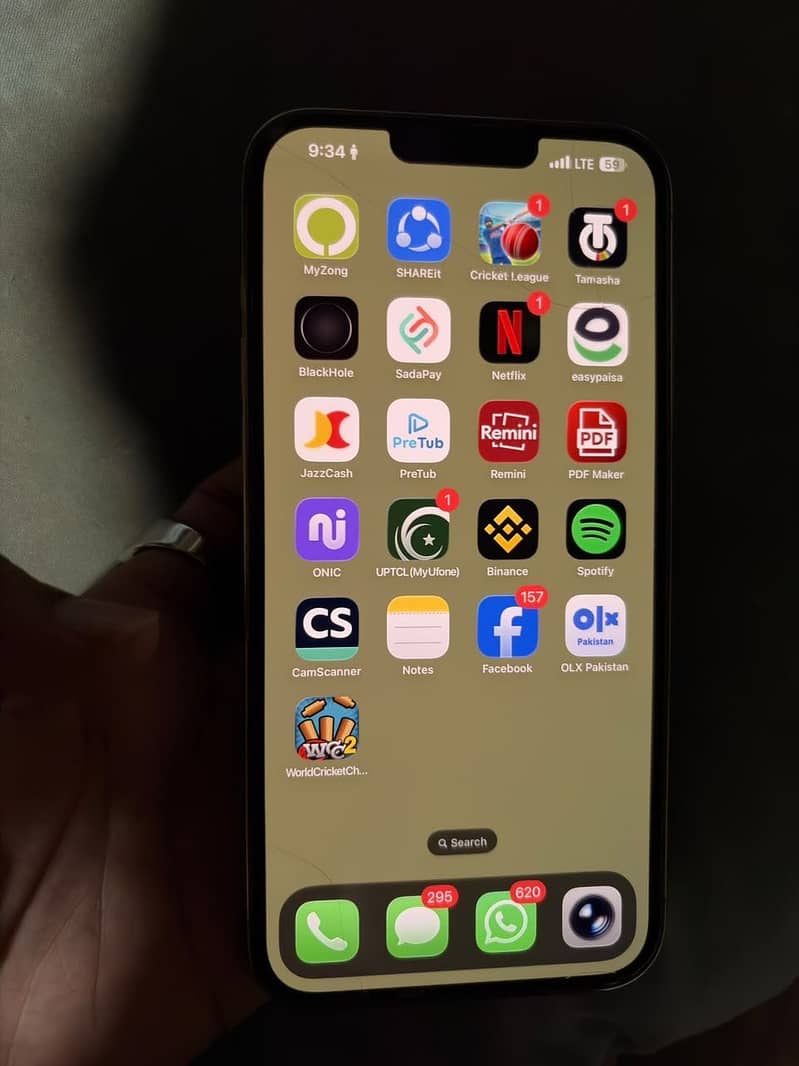 Apple iPhone 13 Pro Max 1
