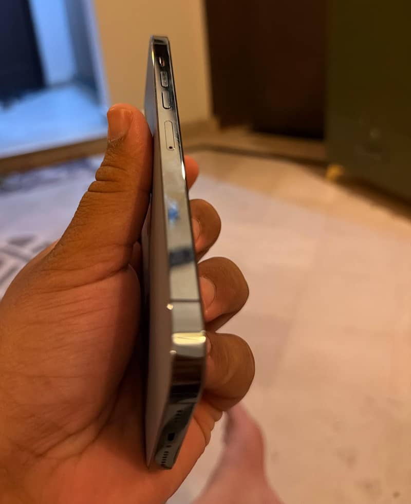 Apple iPhone 13 Pro Max 2