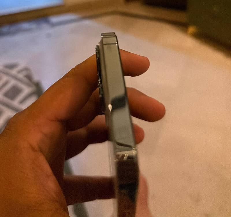Apple iPhone 13 Pro Max 5