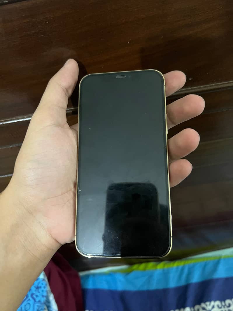 Apple iPhone 12 Pro 1