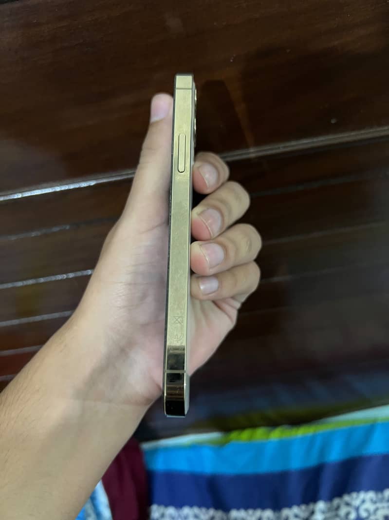 Apple iPhone 12 Pro 2