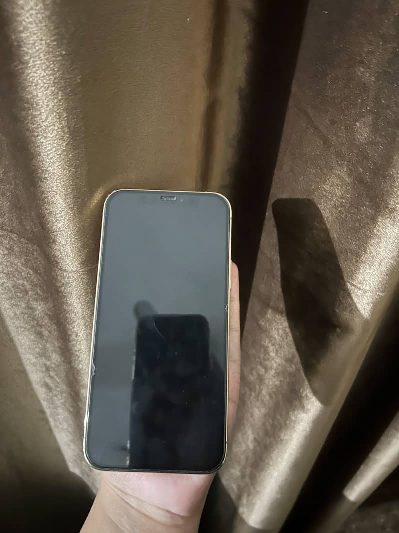 Apple iPhone 12 Pro 4