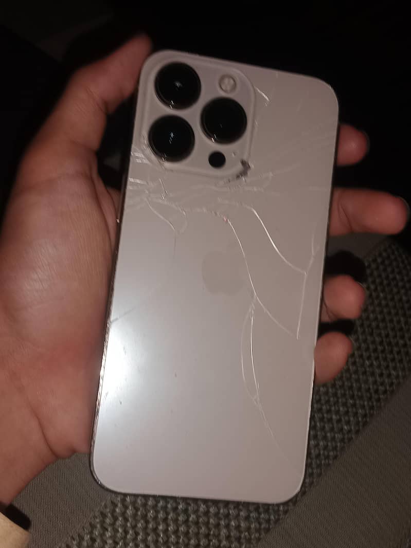 Apple iPhone 13 Pro 0