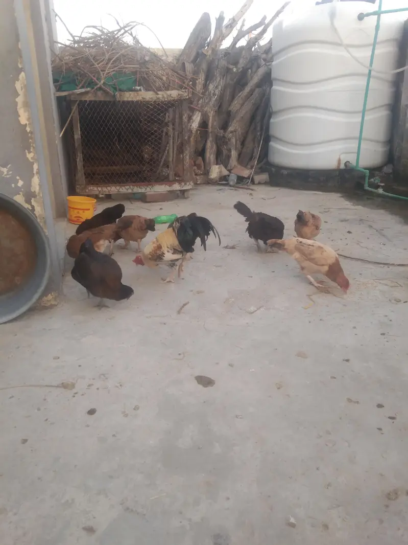 dese margin for sale Ghar ke — photo 2