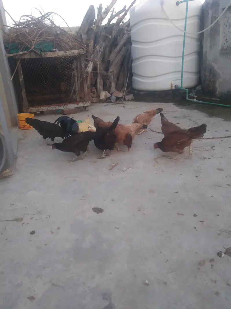 dese margin for sale Ghar ke — photo 3