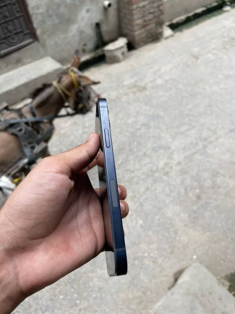 Apple iPhone 12 2