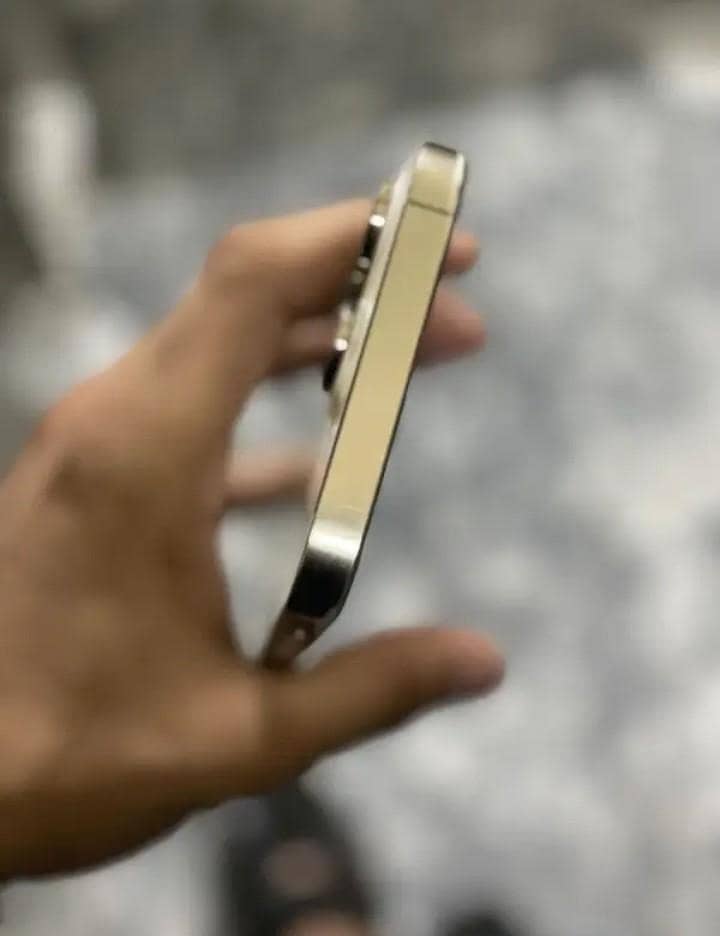 Apple iPhone 14 Pro Max 1