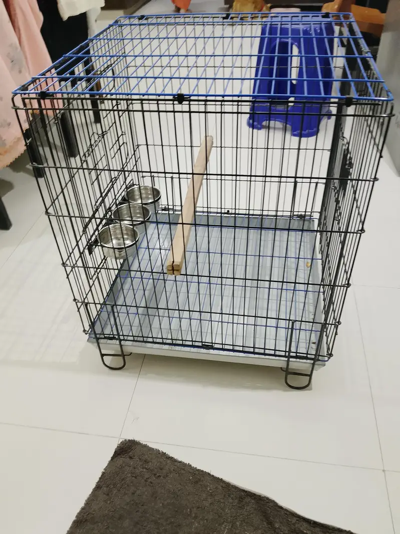 Brand new cage for birds and dogs price slightly negotiable — photo 4