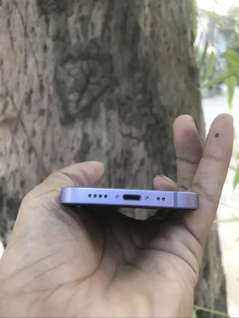 Apple iPhone 12 1