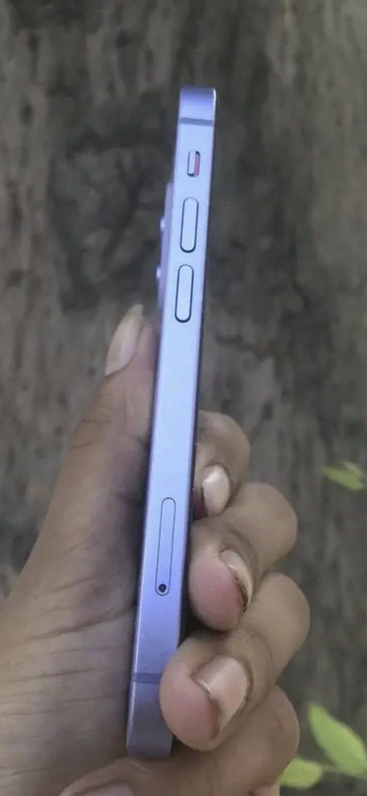 Apple iPhone 12 2