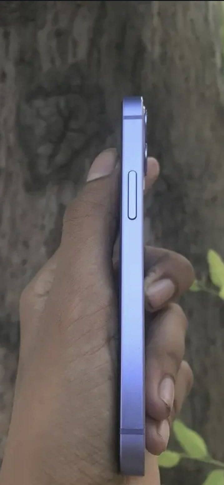 Apple iPhone 12 3