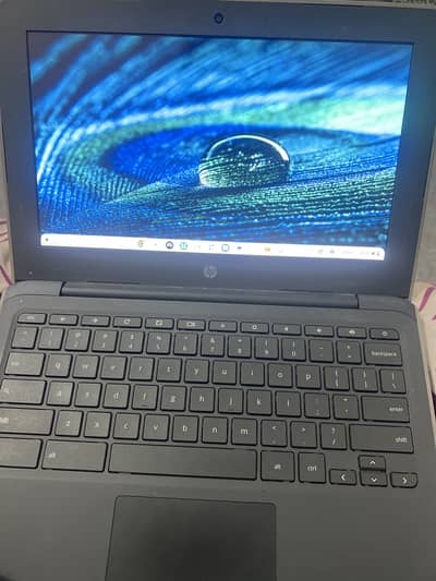 Hp chrome book 4k