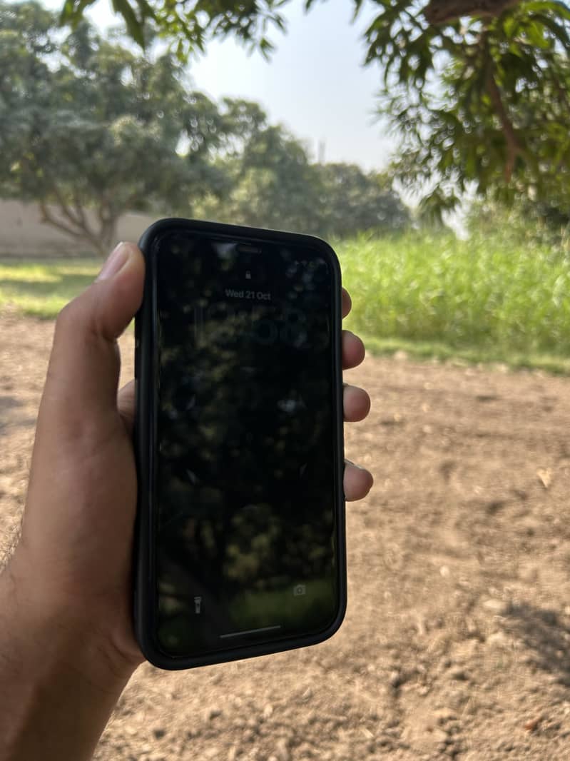 Apple iPhone 11 0