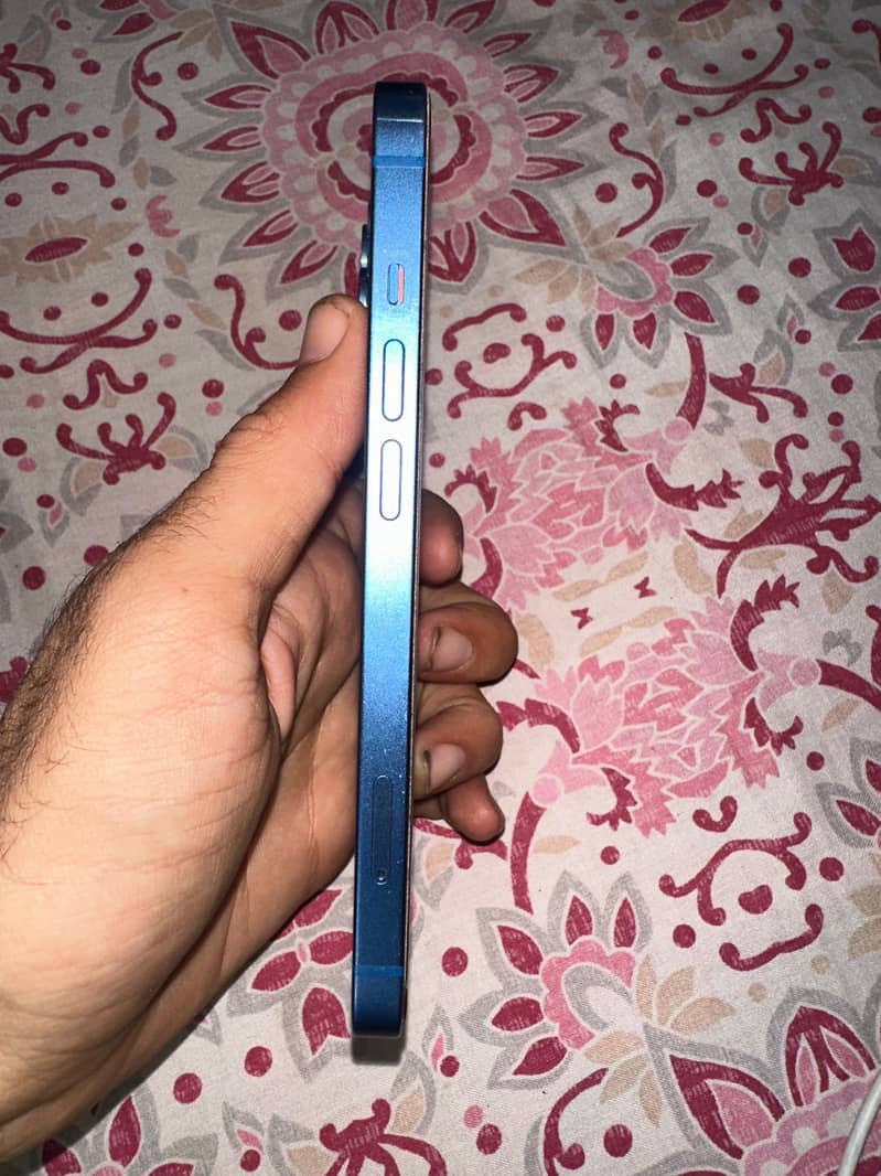 Apple iPhone 13 0