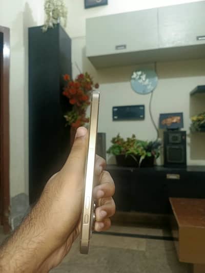 Apple iPhone 16 Pro Max jv