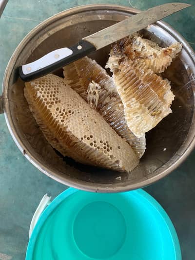 Forest Pure Khalis Honey Maki