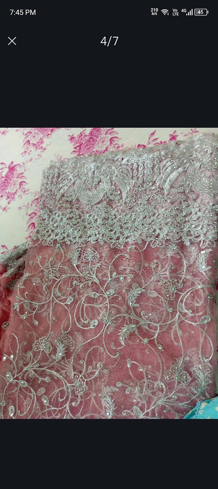 valima maxcy 2