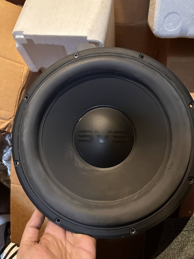 SVS subwoofer 1