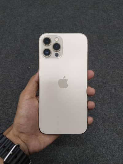 Apple iPhone 12 Pro Max