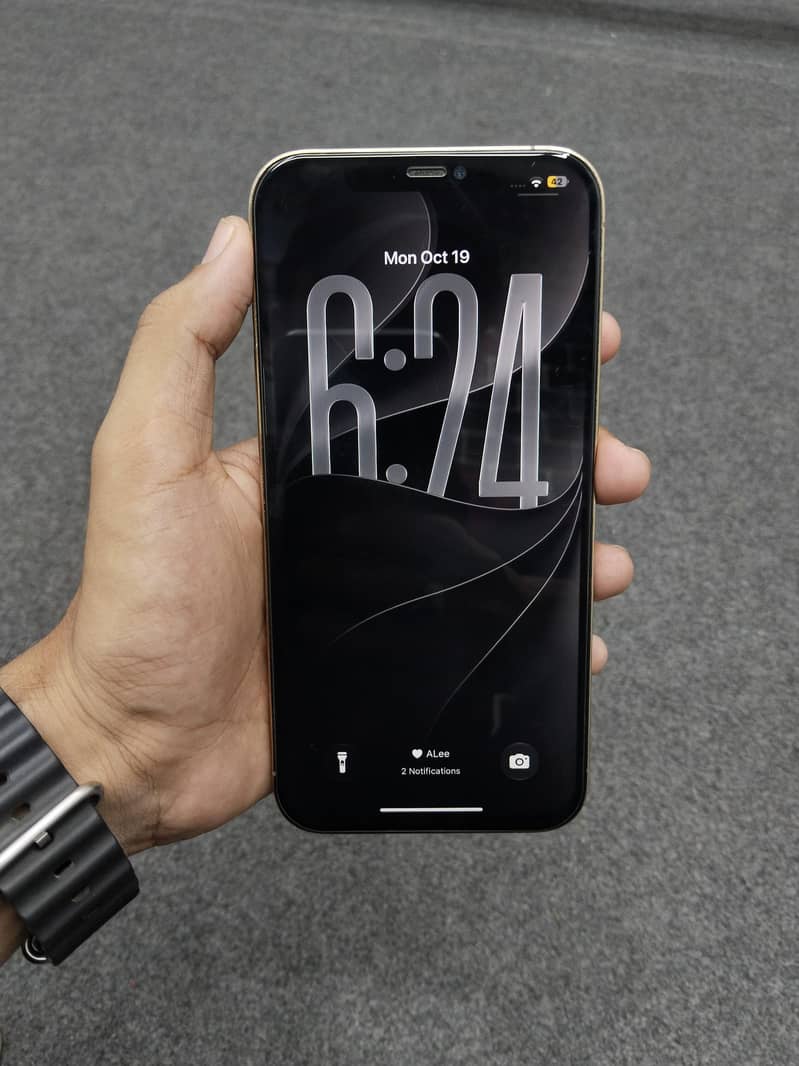 Apple iPhone 12 Pro Max 1