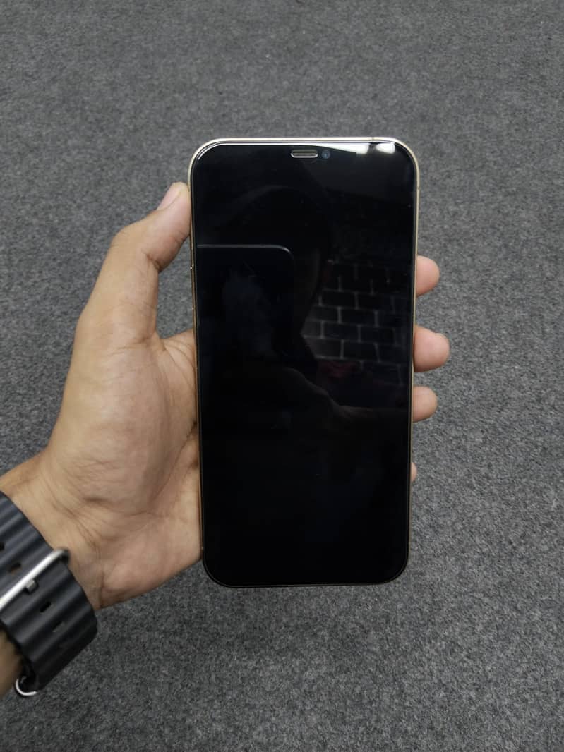 Apple iPhone 12 Pro Max 2