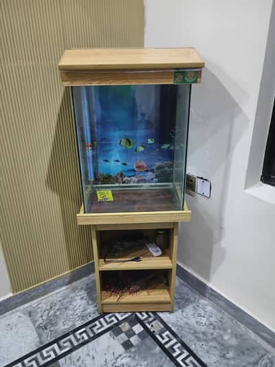 Fish Aquarium Urgent Sale