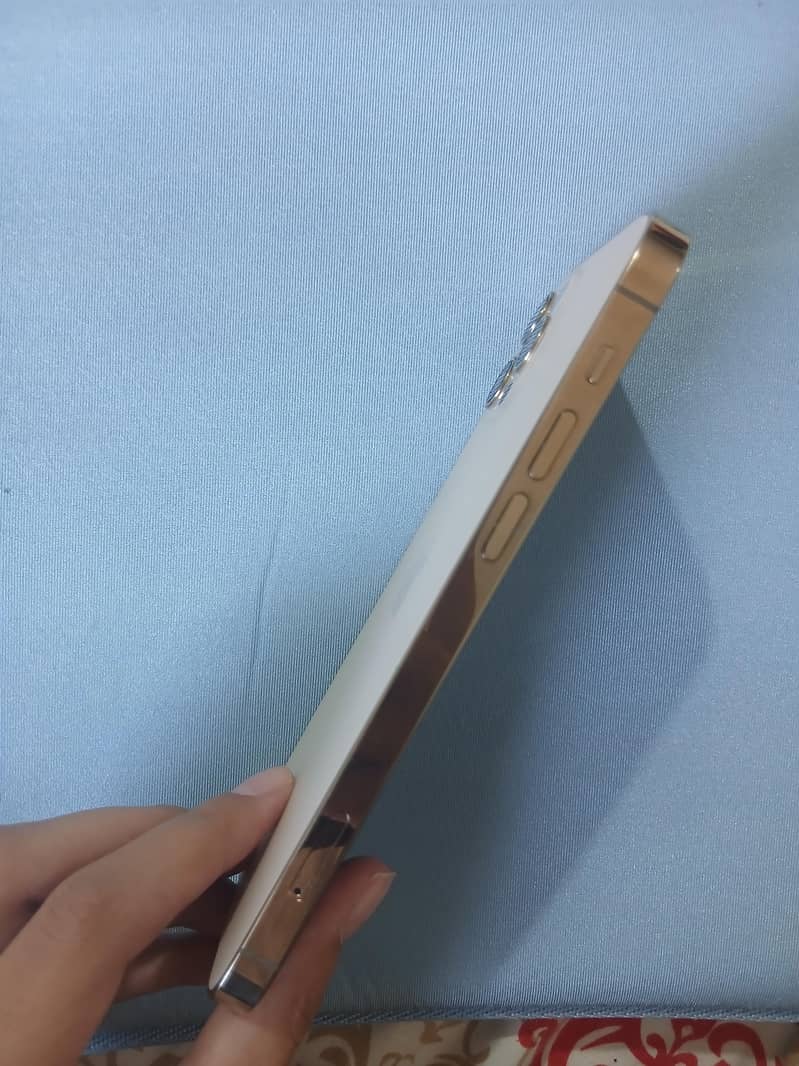 Apple iPhone 12 Pro 3