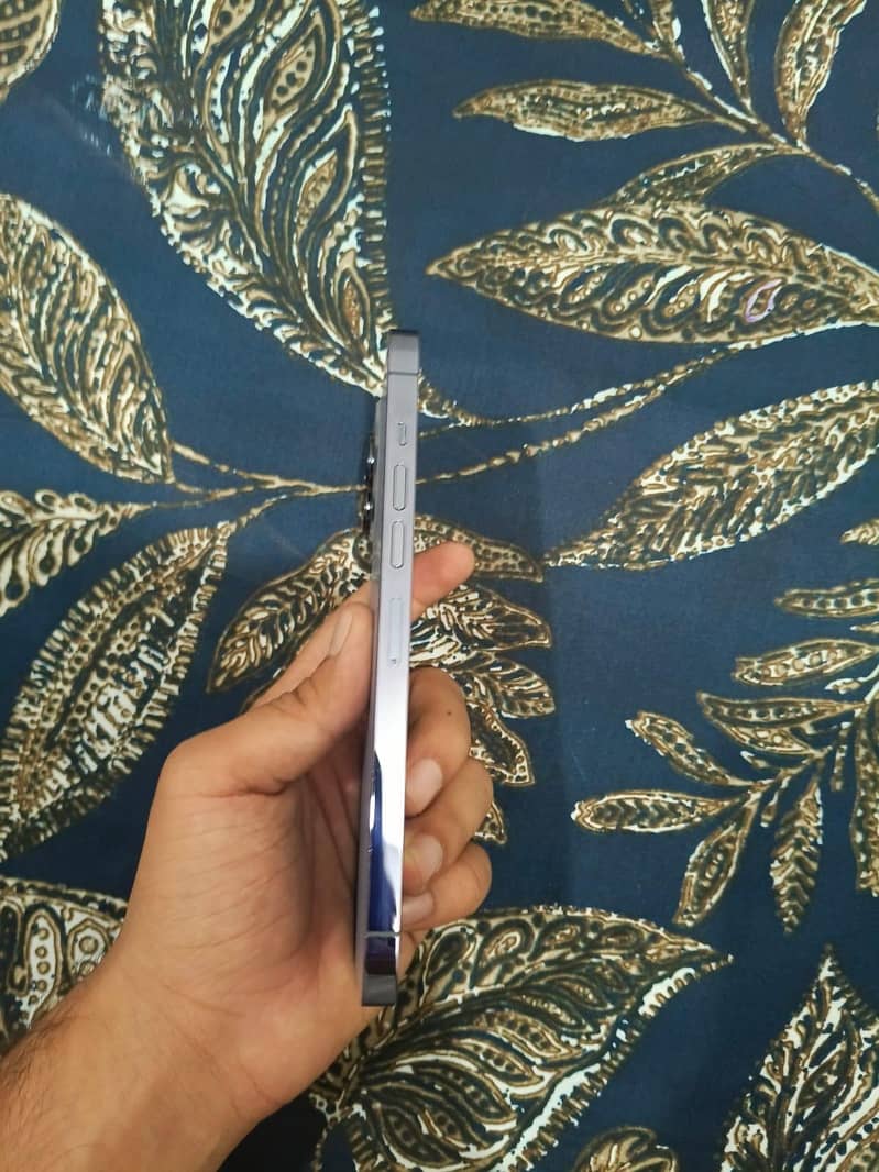 Apple iPhone 13 Pro Max 2