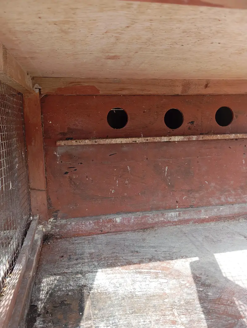 four cages in one,2×5 — photo 2