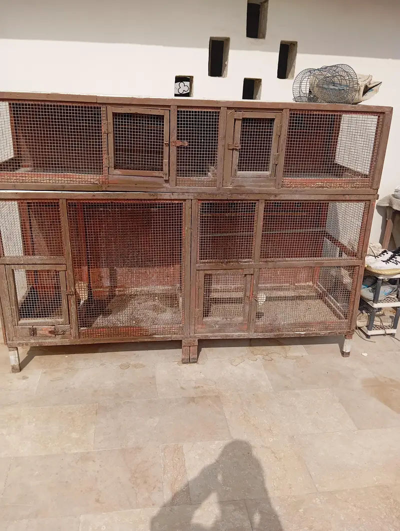 four cages in one,2×5 — photo 3