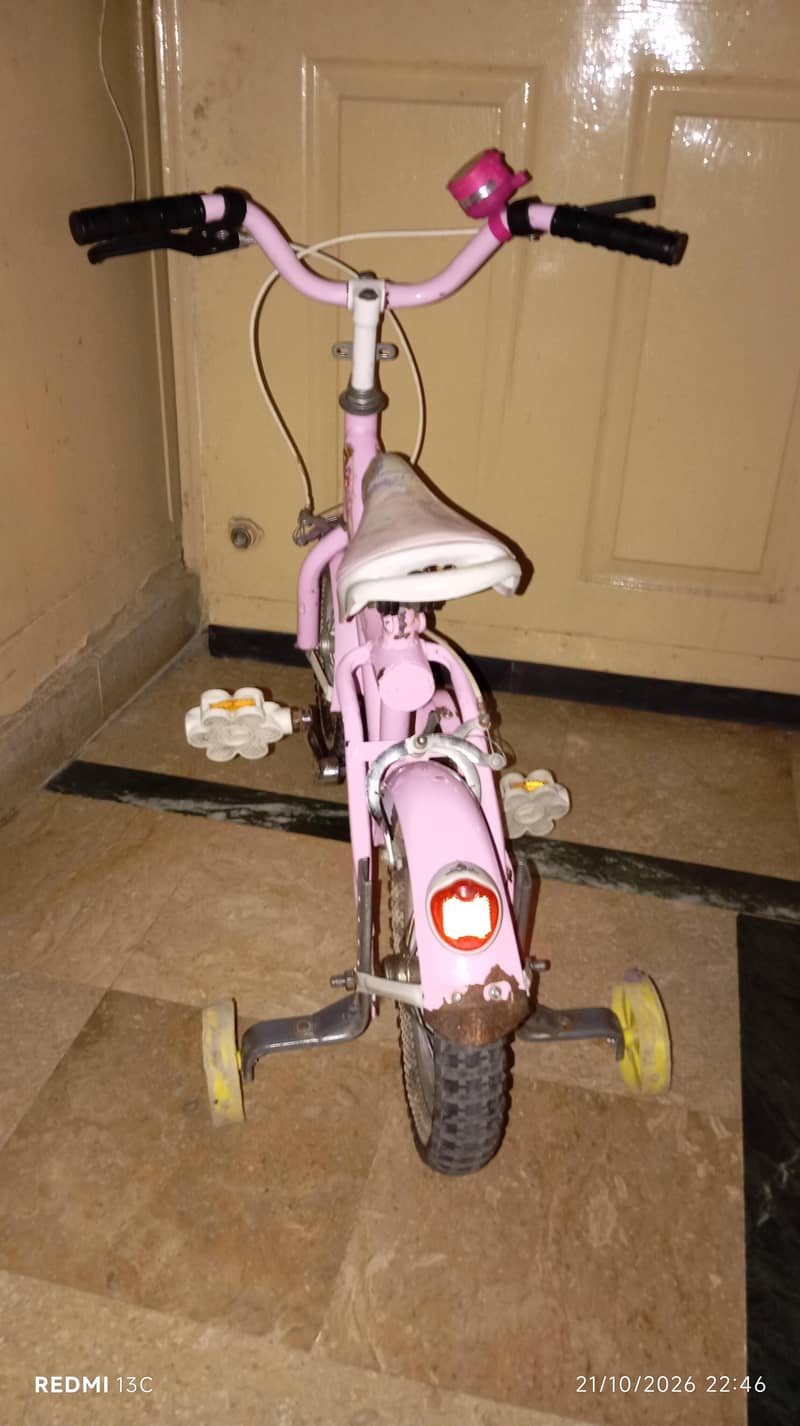 bicycle 2