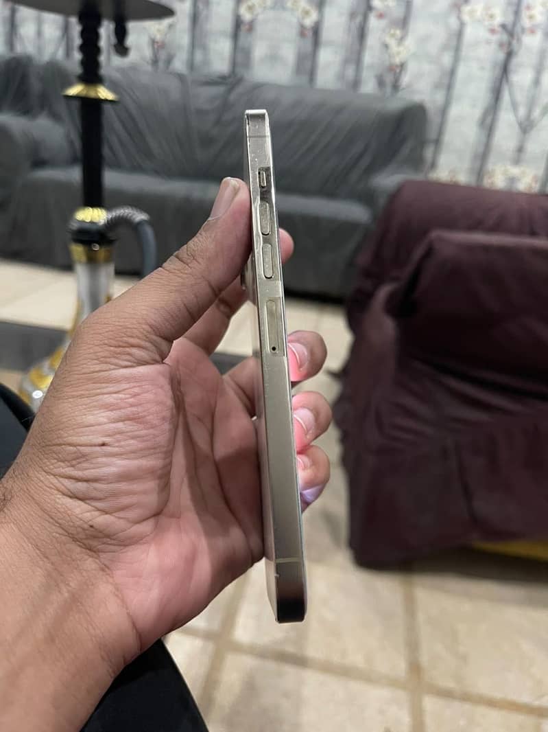 Apple iPhone 13 Pro Max 2