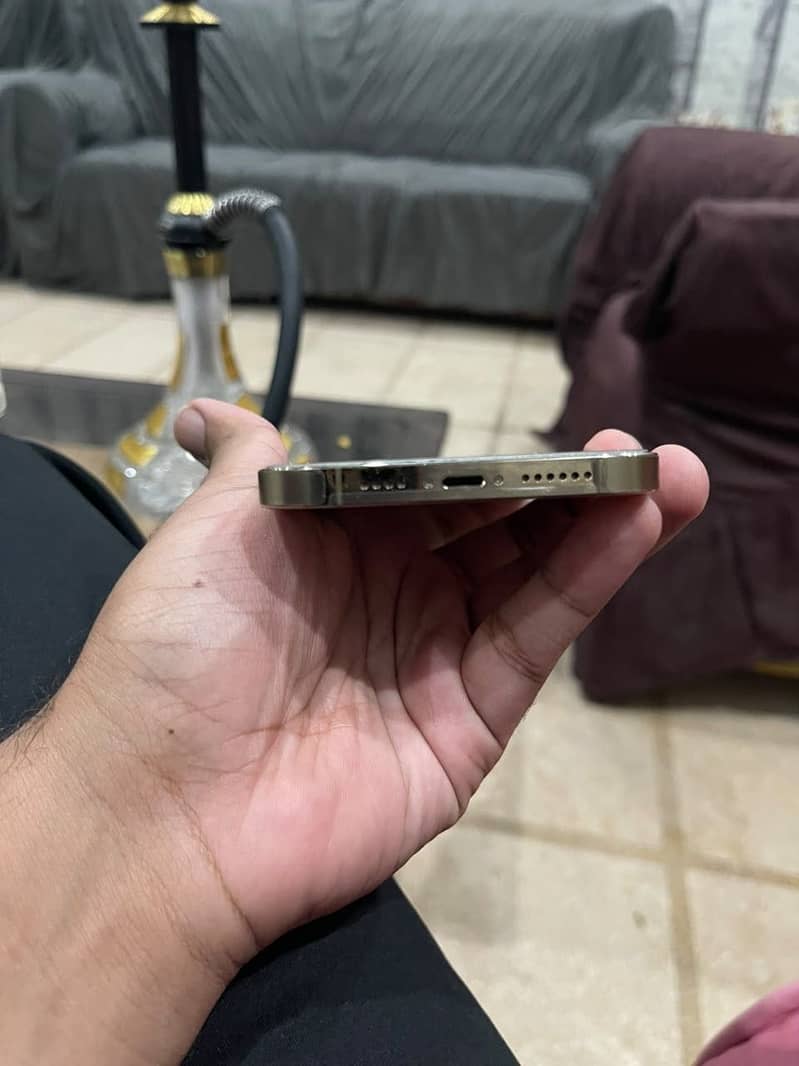 Apple iPhone 13 Pro Max 4