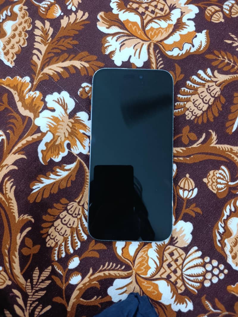 Apple iPhone 14 Pro Max 1