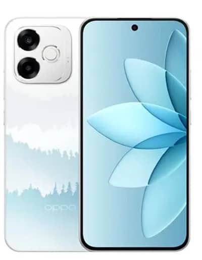 OPPO a6s pro