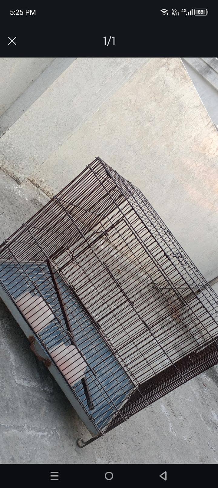 parrots cage 0